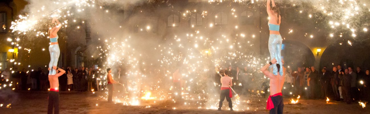 Messe & Eventmanagement descr.