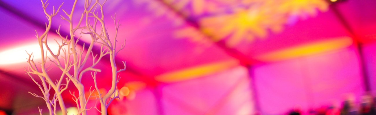 Messe & Eventmanagement descr.